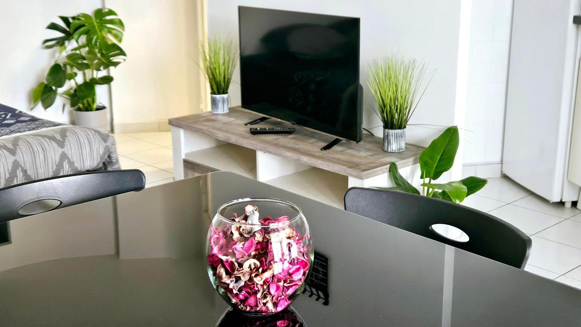 Charmant Studio Cannes Centre - Ideal Vacance Et Congres Εξωτερικό φωτογραφία